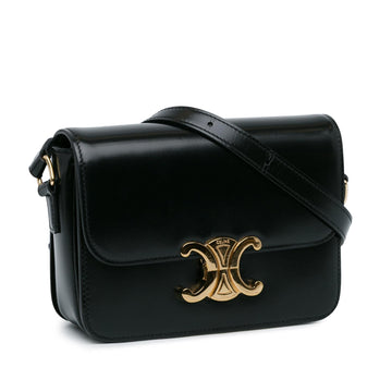 Celine Teen Shiny Calfskin Triomphe Bag (SHG-vb9Nof)