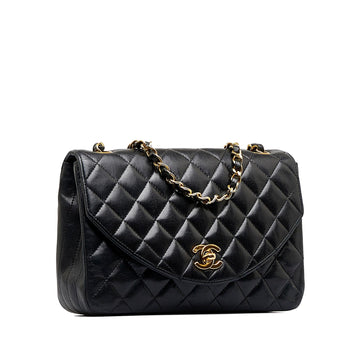 Chanel Quilted Lambskin Half Moon Single Flap (SHG-pMeyCS)