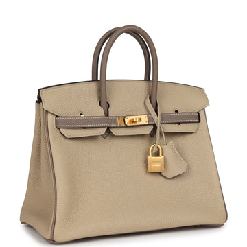 Hermes SpSSial Order (HSS) Birkin 25 Etoupe and Trench Togo Brushed Gold Hardware
