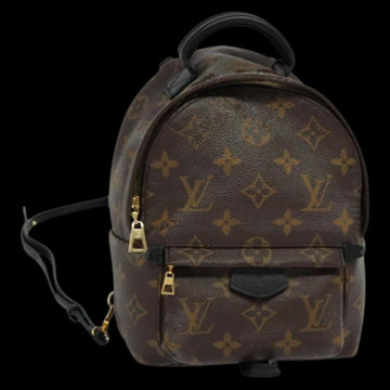 Brown Canvas Louis Vuitton Palm Springs