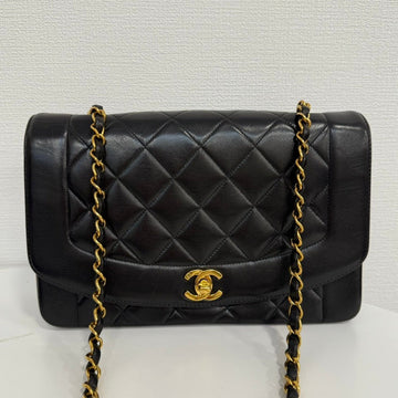 Vintage Chanel Lambskin Diana Chain Crossbody FM0028